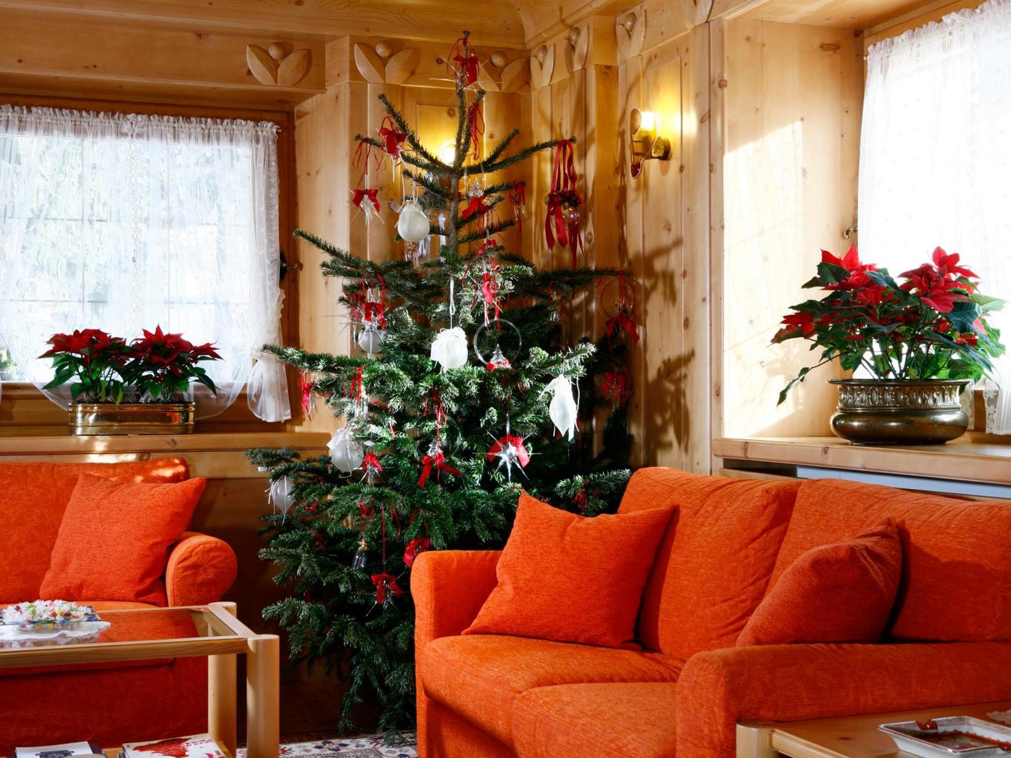 Hotel Natale Cortina dʼAmpezzo Esterno foto
